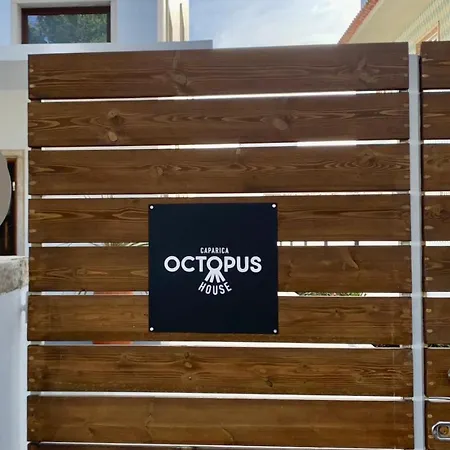 公寓 Octopus House Caparica
