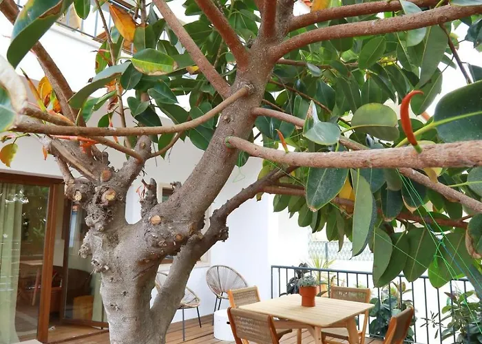 Octopus House Caparica *