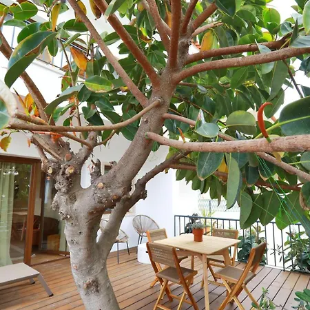 Octopus House Caparica *