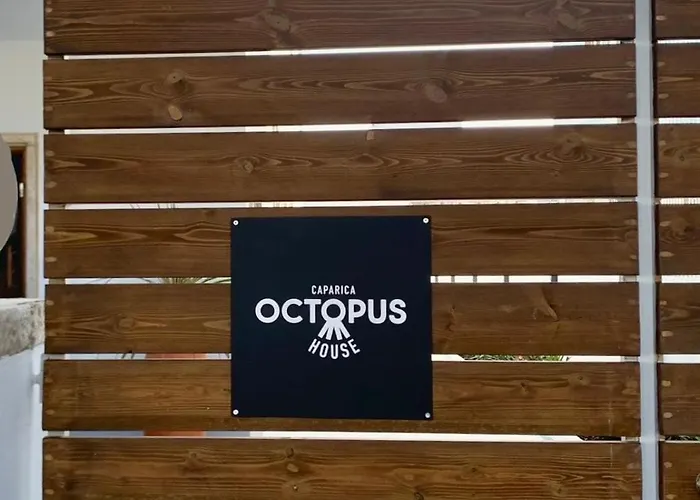 Lejlighed Octopus House Caparica